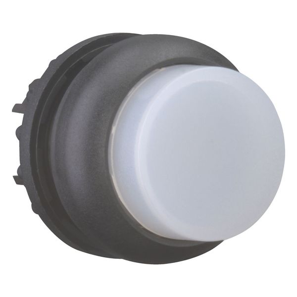 M22S-DRLH-W Illuminated pushbutton actuator, RMQ-Titan, Extended, maintained, White, Blank, Bezel: black image 6