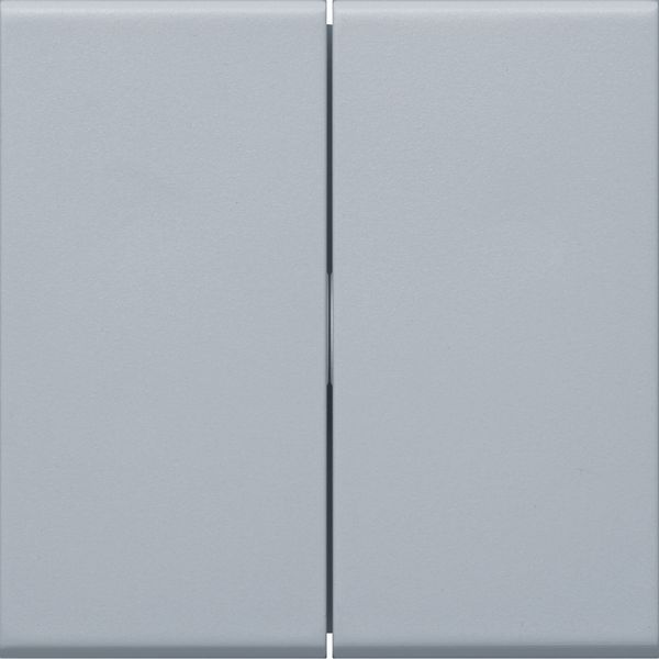 Rocker 2-gang Switch/Button, alu image 2