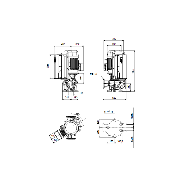 Inlinepomp TPE 125-360/2 NC-A-F-A-BQQE-RW1 30,0kW 380-420D/660-725Y 50 image 3