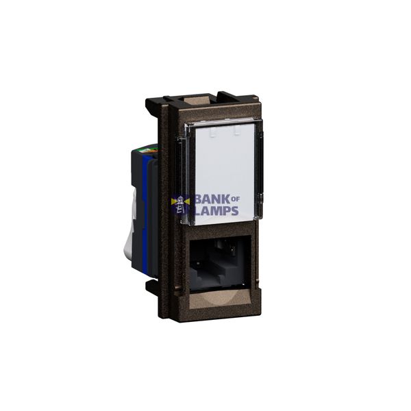 BTNET - L.NOW RJ45 TOOLLESS UTP CAT6 BRONZO image 1