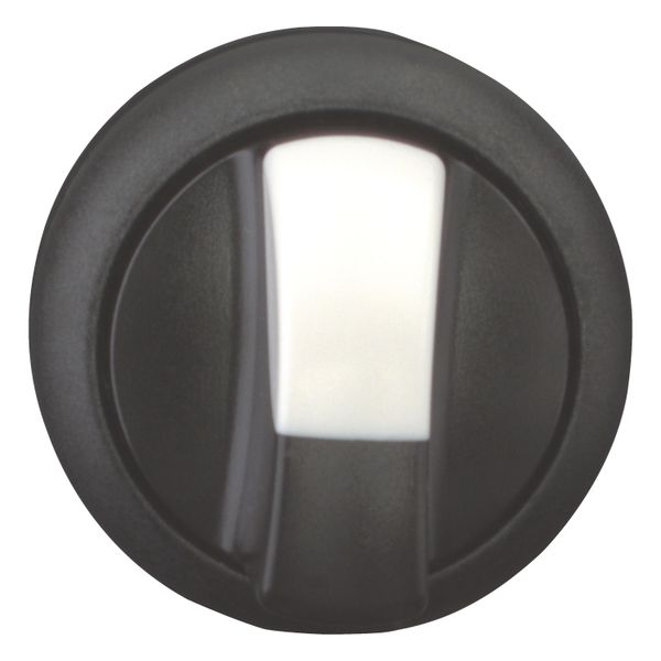 M22S-WRK Changeover switch, RMQ-Titan, With thumb-grip, maintained, 2 positions, Bezel: black image 4