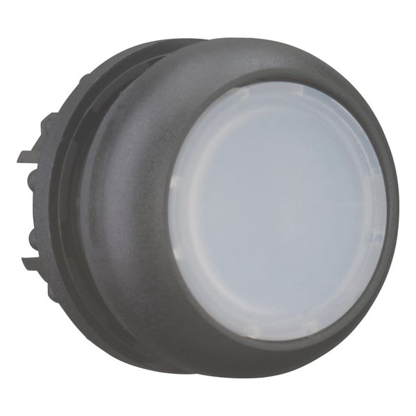 M22S-DL-W Illuminated pushbutton actuator, RMQ-Titan, Flush, momentary, White, Blank, Bezel: black image 8