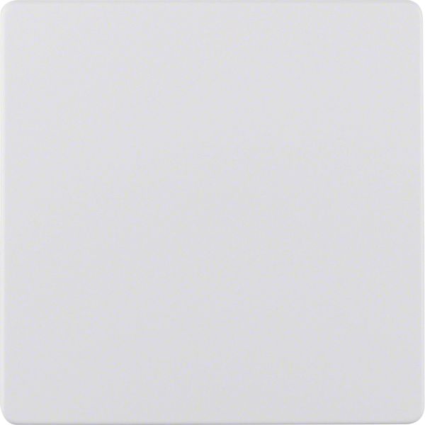 Central plate for sensor insert, S.1/B.3/B.7, p. white matt/velvety image 2