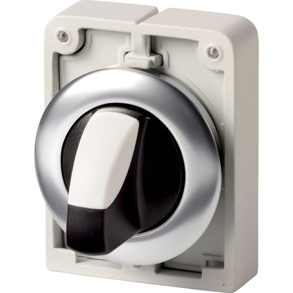 M30I-FWKV Changeover switch, RMQ-Titan, with thumb-grip, maintained, 2 positions (V position), Front ring stainless steel image 2