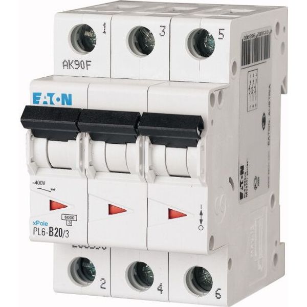 PL6-B20/3 Miniature circuit breaker (MCB), 20 A, 3p, characteristic: B image 1