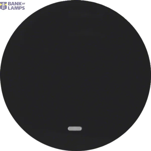 Rocker switch with clear lens R.Classic black, glossy image 1