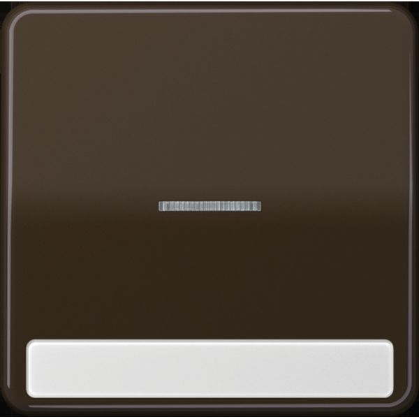 1-gang rocker w.transp lens&inscr. plate CD590NAKO5BR image 3