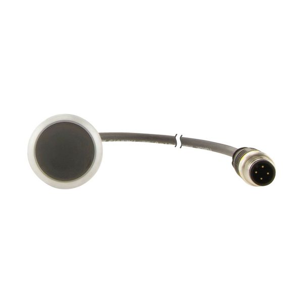 C22-D-S-K01-P5 Pushbutton, Flat, momentary, 1 NC, Cable (black) with M12A plug, 4 pole, 1 m, black, Blank, Bezel: titanium image 12