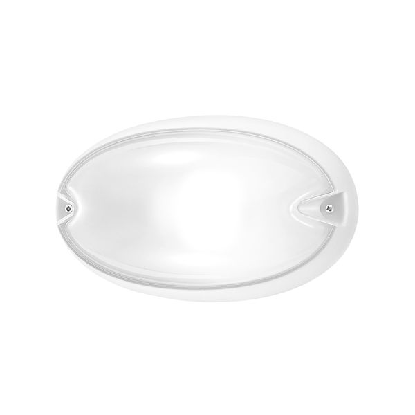 CHIP OVALE 25 WIT E27 image 2