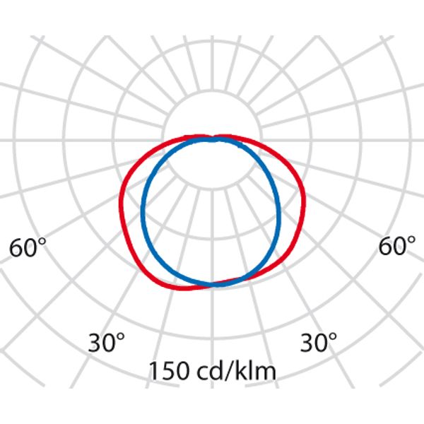 CHIP OVAL 25 BLACK E27 image 7