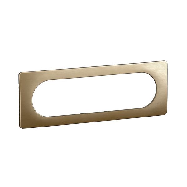 PLATE 3G LARGE SATIN BRONZE image 2