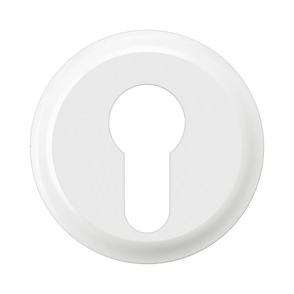 COVER PLATE image 4
