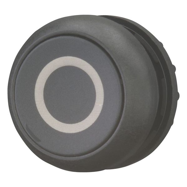 M22S-DR-S-X0 Pushbutton, RMQ-Titan, Flat, maintained, black, inscribed, Bezel: black image 6