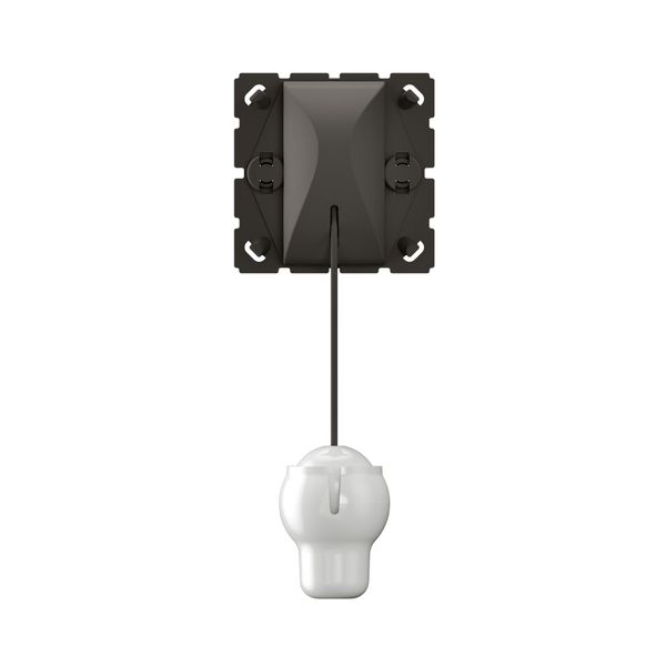 10AX 2 WAYS PULL-CORD SWITCH image 4