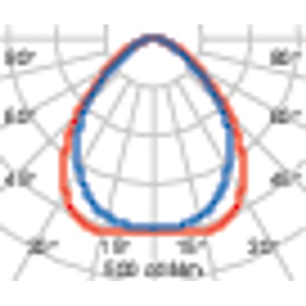 PLATE 600 MP 28.5 930 UGR image 4