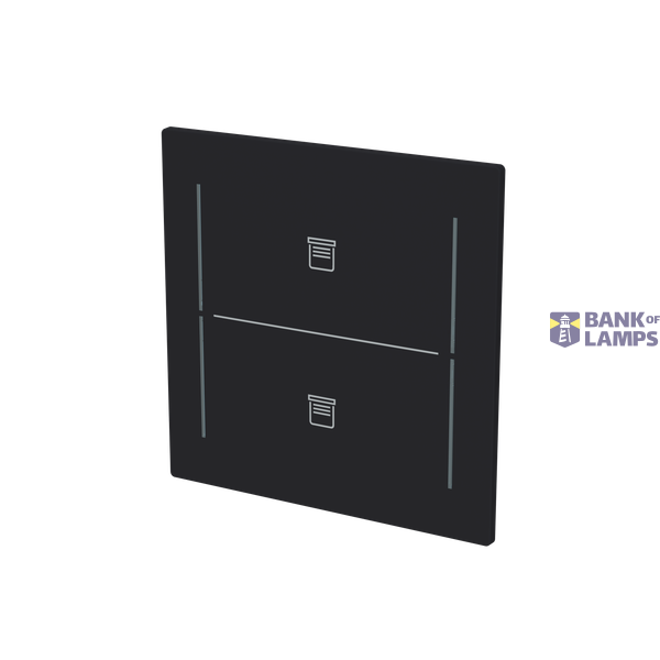 LFJT/A.2.70.1-45M Cover plate with legend with Symbol "venetian blind" black matt - Trevion® image 2