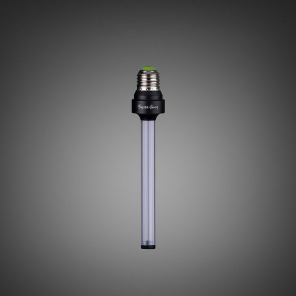 BUSTER BULB / FORKED / SMOKED image 2