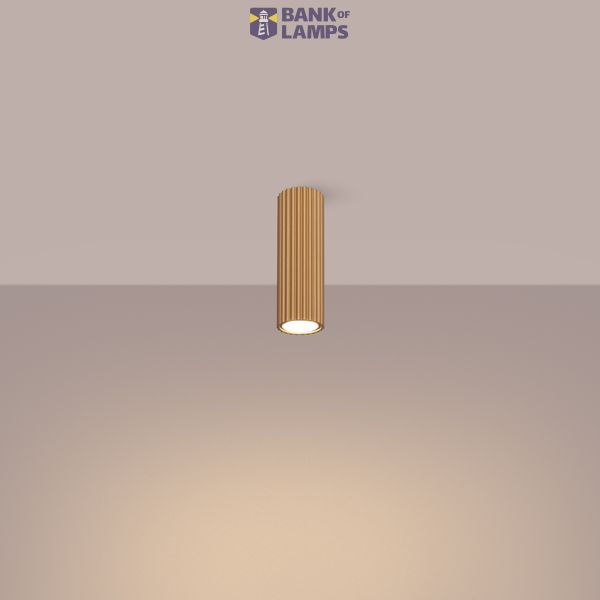 SPOT 20CM GOLD FROM THE CARBON SERIES FOR A MODERN LIVING ROOM image 3