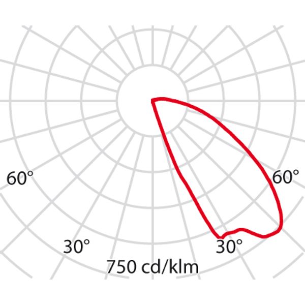 INSERT+1 6W 3000K MARINE image 4