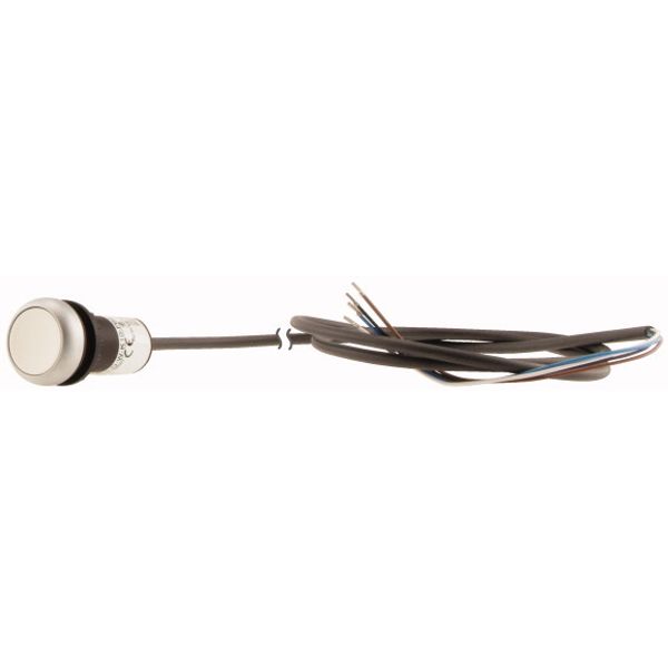 C22-DR-W-K10-P65 Pushbutton, classic, flat, maintained, 1 N/O, white, cable (black) with non-terminated end, 4 pole, 3.5 m image 3