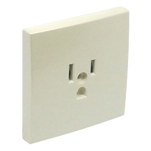 SAF C.PLATE F/EARTH SOCKET (USA NEMA) PEARL image 2