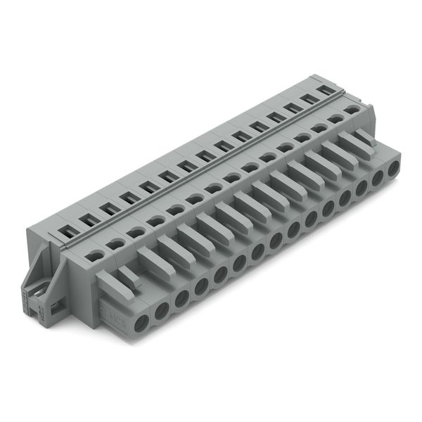 1-conductor female connector CAGE CLAMP® 2.5 mm² gray image 1