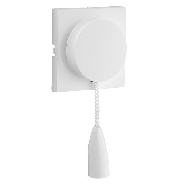 C.PLAT F/PULL-CORD PUSH-BUT/TWO-WAY SWITCH WH image 1