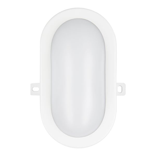 LED Bulkhead Basic 6W 3000K White Oval image 1