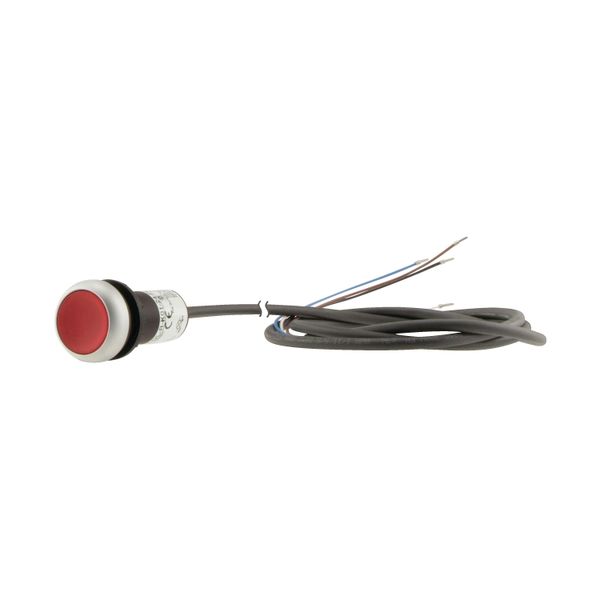 C22-DRL-R-K01-24-P62 Illuminated pushbutton actuator, classic, flat, maintained, 1 N/C, red, 24 V AC/DC, cable (black) with non-terminated end, 4 pole, 1 m image 12
