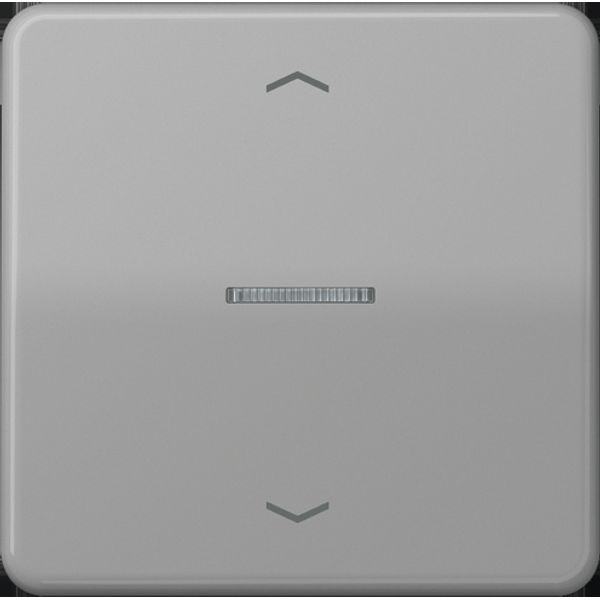 Centre plate for motor control inserts FMCD5232GR image 3