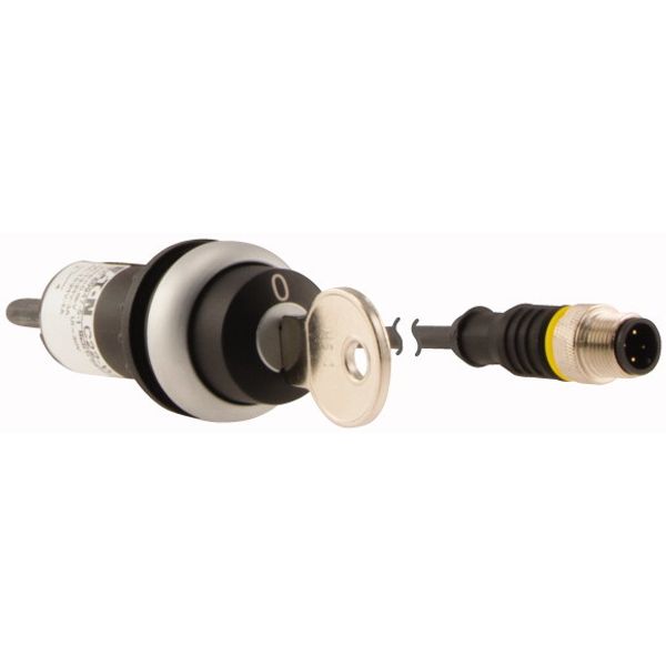 C22-WS-MS1-K10-P1 Key-operated actuator, RMQ compact solution, momentary, 1 N/O, Cable (black) with M12A plug, 4 pole, 0.2 m, 2 positions, MS1, Bezel: titanium image 4