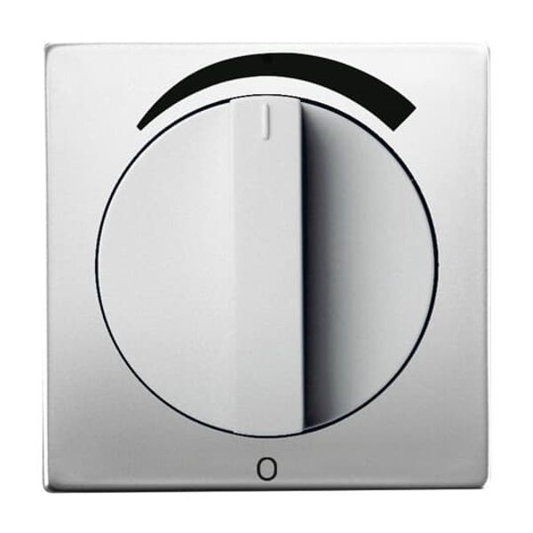 1740 DR/03-866 CoverPlates (partly incl. Insert) pure stainless steel Stainless steel image 4