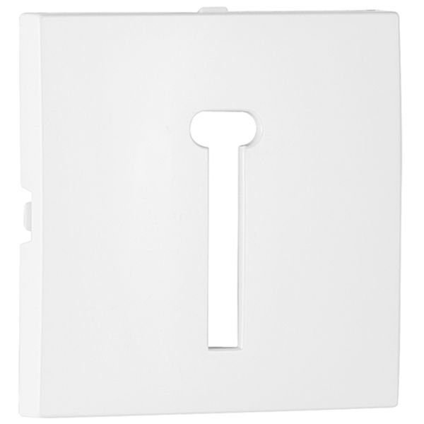 COVER PLATE F/T8 FRENCH TELEP SOCKET WHITE image 1