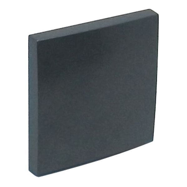 ROCKER FOR SWITCHES GRAY image 2