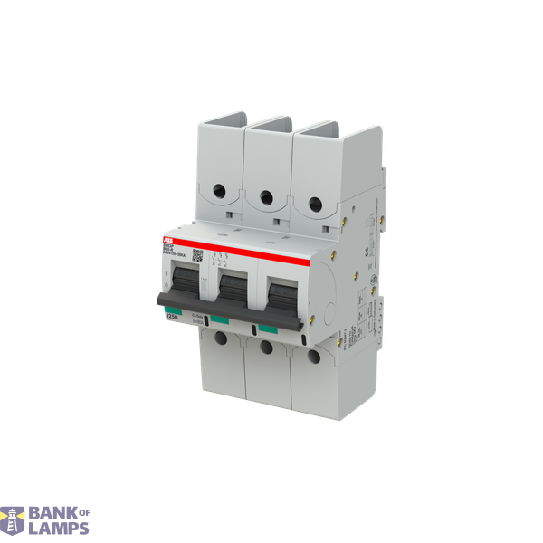 S803P-B80-R circuit breaker image 3