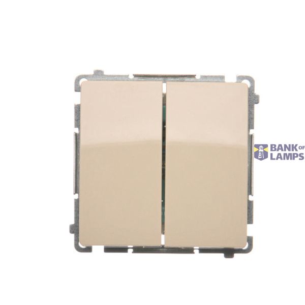 Two gang switch, (module), 10AX, quick connection, beige image 1