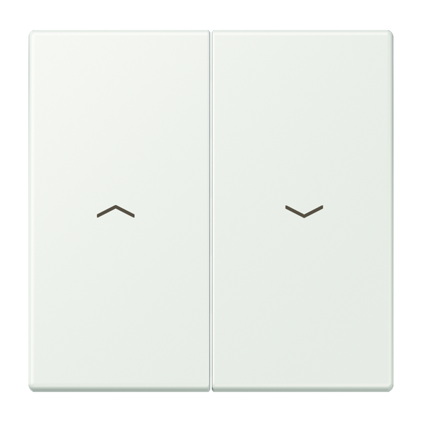 2-gang rocker with arrow symbols LC32024 LC995P210 image 1
