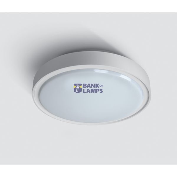 WHITE LED PLAFO 24W WW IP65 230V image 1