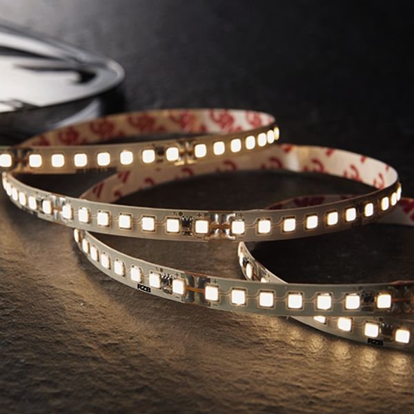 LED strip PRO LED L 5000 B 8 H 2 24 V / 102,50 W / 4000K image 2