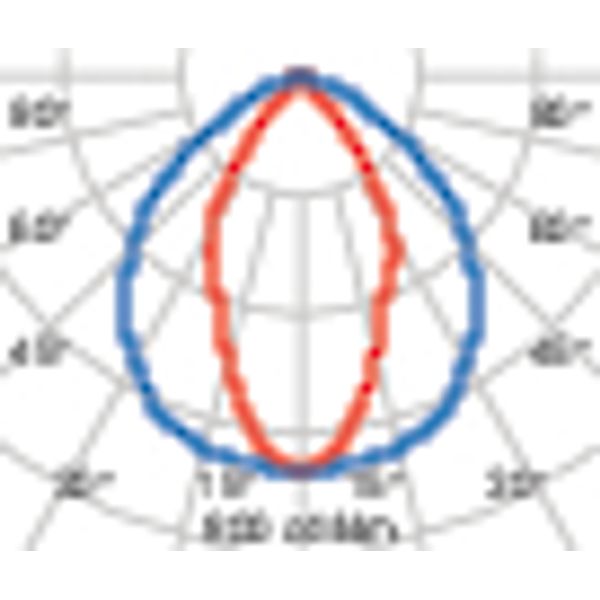 GUELL 2 72 S/W 840 GR94 image 4