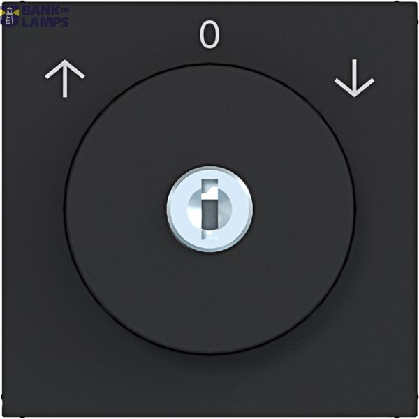Central plate blind switch key ref. 0-position A.x/C.x matte black image 1