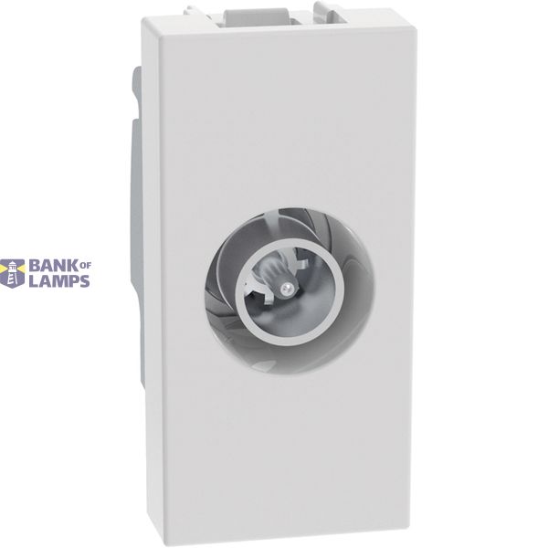Light Now - socket TV star 1m white image 1