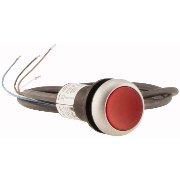 C22-DL-R-K01-24-P62 Illuminated pushbutton actuator, Flat, momentary, 1 NC, Cable (black) with non-terminated end, 4 pole, 1 m, LED Red, red, Blank, 24 V AC/DC, Bezel: ti image 4