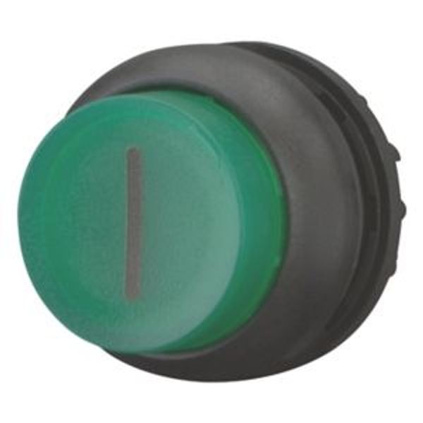M22S-DLH-G-X1 Illuminated pushbutton actuator, RMQ-Titan, Extended, momentary, green, inscribed, Bezel: black image 2