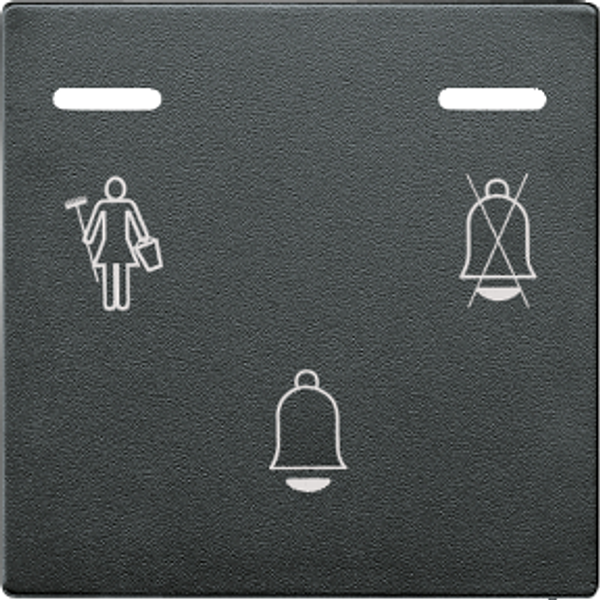 Bell button with LED indicators, anthracite, System M image 1