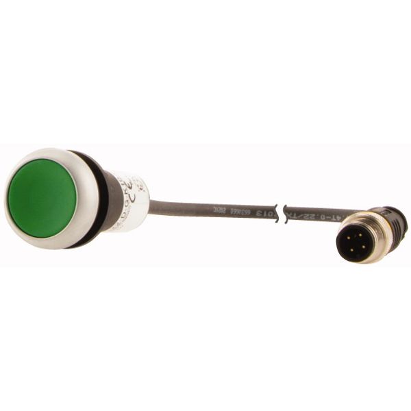 C22-D-G-K10-P3 Pushbutton, Flat, momentary, 1 N/O, Cable (black) with M12A plug, 4 pole, 0.5 m, green, Blank, Bezel: titanium image 3