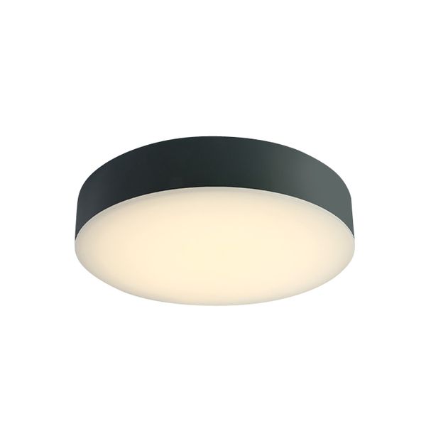 Daria II 20W 1300lm 3K-6,5K CRI80 IP65 IK06 230V anthracite image 1