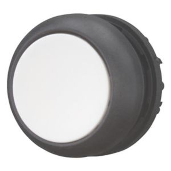 M22S-DR-W Pushbutton, RMQ-Titan, Flat, maintained, White, Blank, Bezel: black image 2