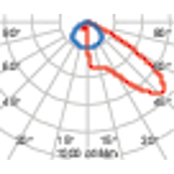 GUELL 2 78 A50/W 830 GR94 image 4