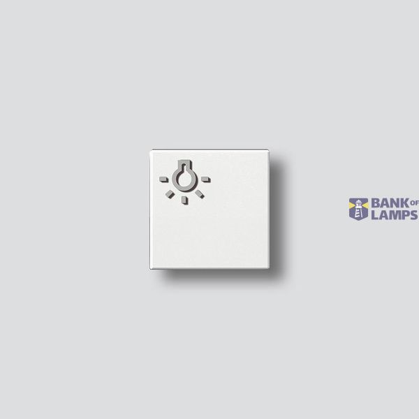 TLM 61x-01, BTLM 650-... WH Light button with light symbol image 1